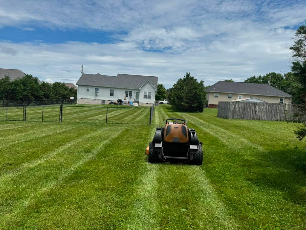 Clean lawn care project with fresh grass and landscaping